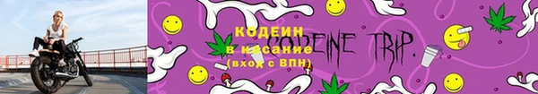 ПСИЛОЦИБИНОВЫЕ ГРИБЫ Балахна
