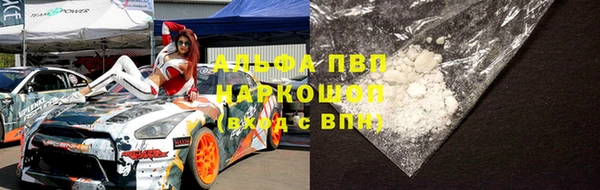 ПСИЛОЦИБИНОВЫЕ ГРИБЫ Балахна