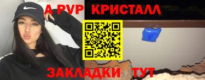 стаф Гай
