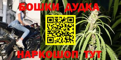 стаф Гай