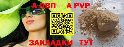 стаф Гай