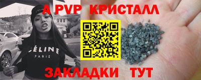 стаф Гай
