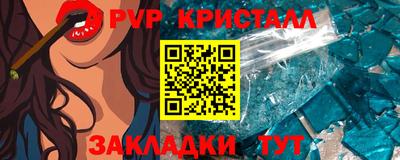 стаф Гай