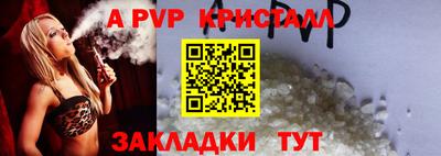стаф Гай
