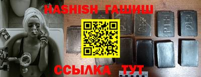 стаф Гай
