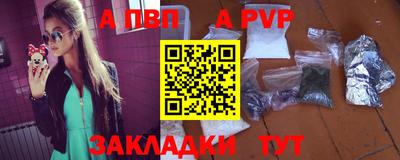 стаф Гай