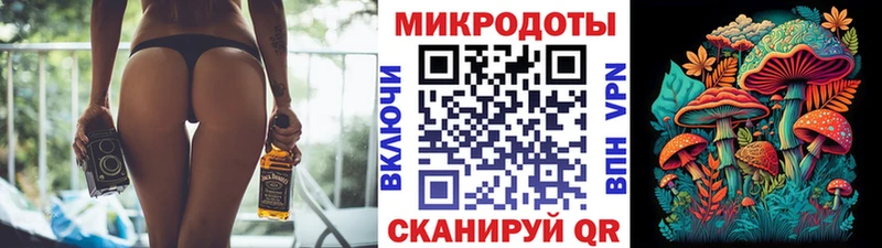 mega зеркало  Соль-Илецк  Псилоцибиновые грибы Psilocybe 