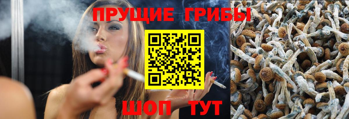 Галлюциногенные грибы Magic Shrooms Соль-Илецк