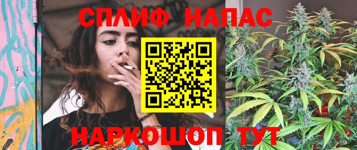 МАРИХУАНА семена Соль-Илецк